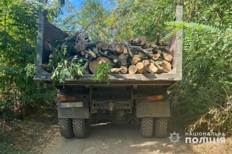 Техніку орендували на місцевому підприємстві: трьох жителів Кілійської громади викрито на незаконній порубці дерев